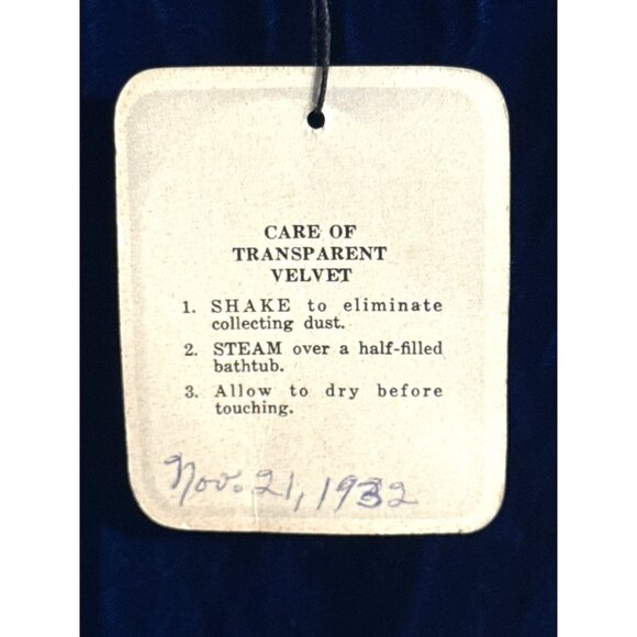 1930s Openhym's Debuvel Transparent Velvet Dress — Art Deco Silk Velvet Gown - Picture 14 of 16